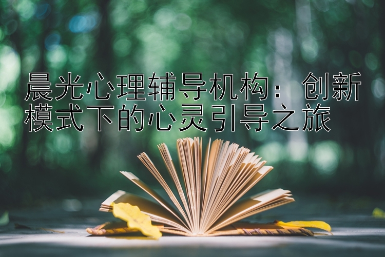 晨光心理辅导机构：创新模式下的心灵引导之旅