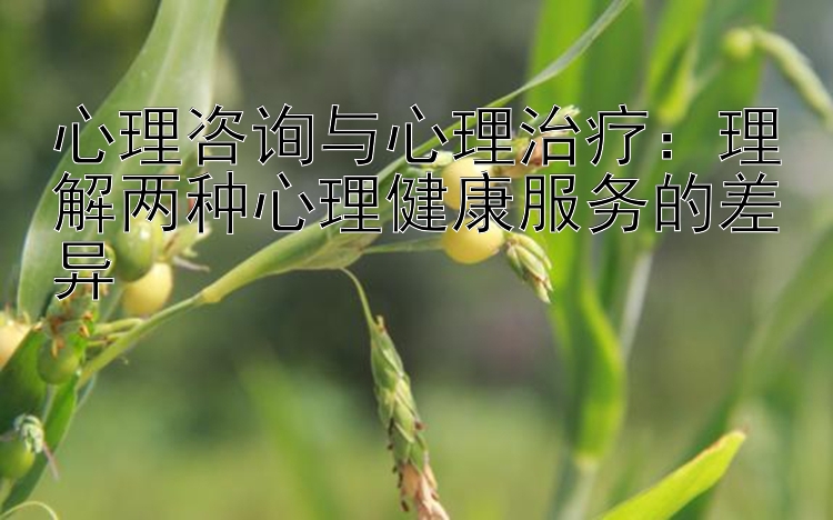 心理咨询与心理治疗：理解两种心理健康服务的差异