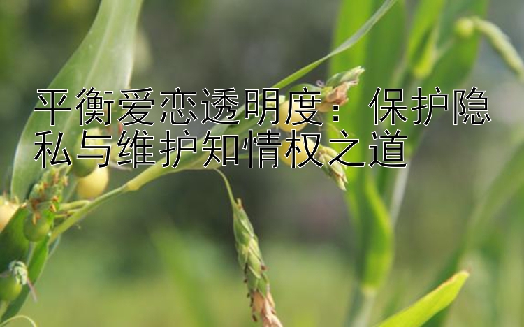 平衡爱恋透明度：保护隐私与维护知情权之道