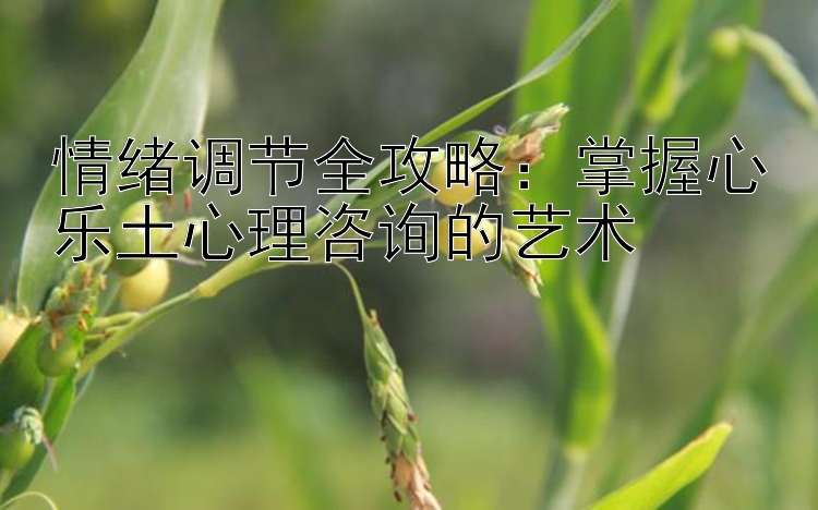 情绪调节全攻略：掌握心乐土心理咨询的艺术