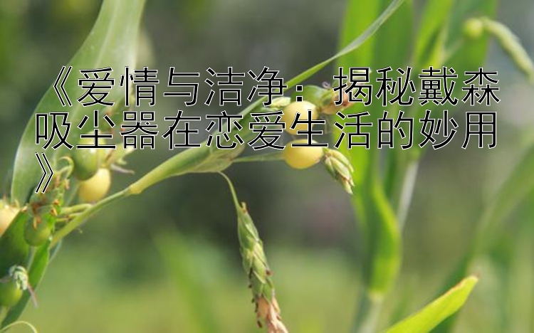 《爱情与洁净：揭秘戴森吸尘器在恋爱生活的妙用》