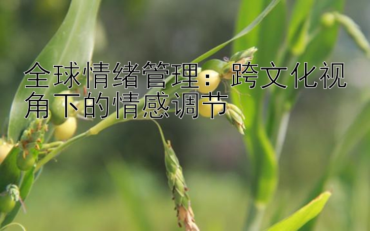 全球情绪管理：跨文化视角下的情感调节