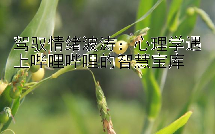 驾驭情绪波涛：心理学遇上哔哩哔哩的智慧宝库