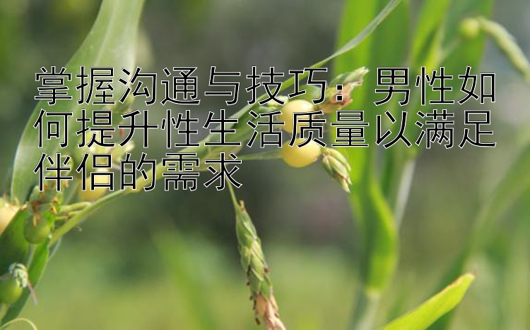 掌握沟通与技巧：男性如何提升性生活质量以满足伴侣的需求