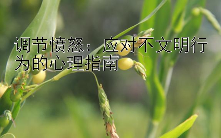 调节愤怒：应对不文明行为的心理指南